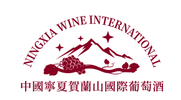 沙狐工作室 Bottle Fox Studio